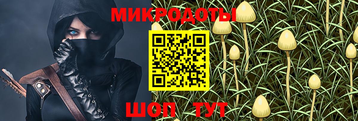 Трёхгорный  Галлюциногенные грибы Cubensis  Вход с VPN 