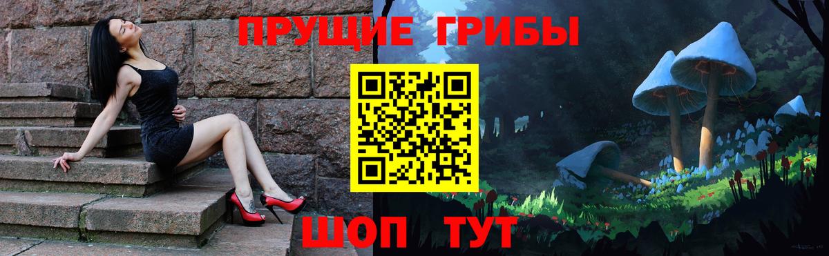 Псилоцибиновые грибы Psilocybe Трёхгорный